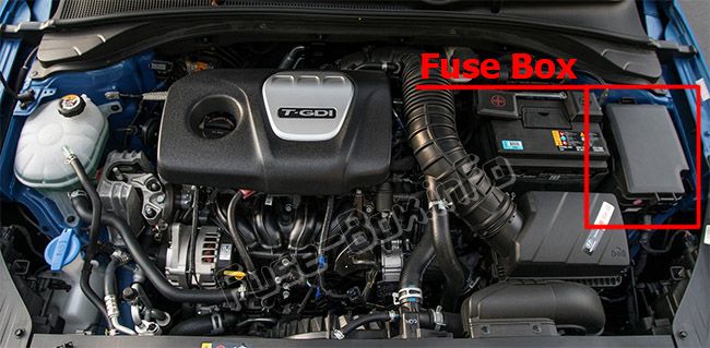 Motor bölgesindeki sigortaların konumu: Hyundai Elantra GT (2018, 2019)